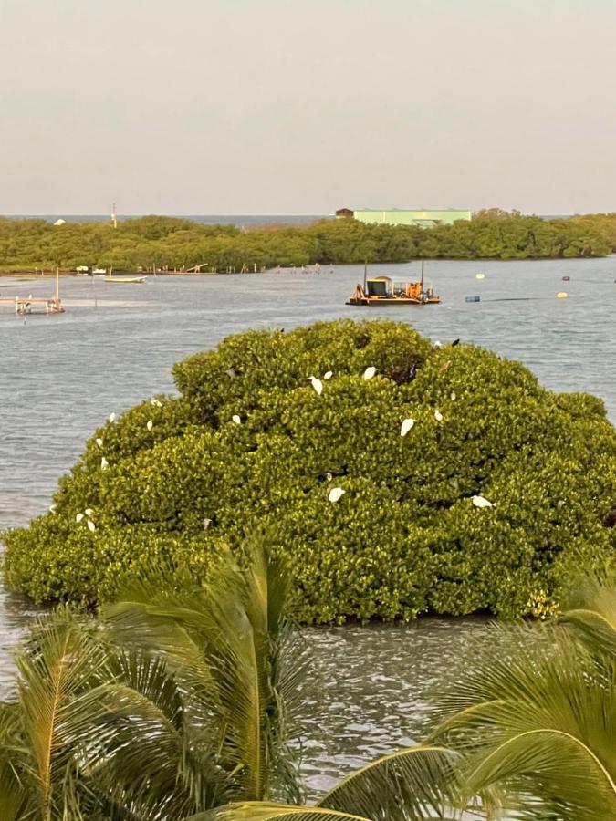 Hidden Treasure Vacation Home Blue Bay Cottage Caye Caulker Buitenkant foto